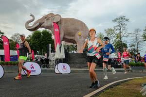 BIB: 
                            <button type="button" onclick="openModal(26528520)" class="btn btn-primary btn-sm float-right btn-popup" data-toggle="modal" data-target=".modal-high-quality">
                        <i class="fas fa-shopping-cart"></i> Add to Cart
                    </button>
                                            <button type="button" onclick="isThisMe(26528520, true)" class="btn btn-success btn-sm float-right btn-popup btn-isme hidden" data-toggle="tooltip" data-placement="bottom" title="นี่คือรูปของคุณใช่ไหม คลิกที่นี่เพื่อเอาเข้าอัลบั้ม">
                        <i class="fas fa-plus"></i> Add to album
                    </button>
                    <button type="button" onclick="isThisMe(26528520, false)" class="btn btn-warning btn-sm float-right btn-popup btn-isnotme hidden">
                        <i class="fas fa-ban"></i> Remove from album
                    </button>